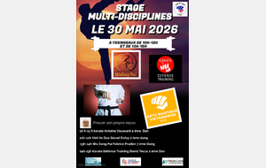 STAGE DEPARTEMENTAL MULTI-DISCIPLINES LE 30 MAI 2026